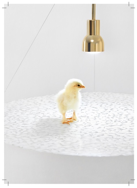IED Exhibition at Dubai Design Week 2021 1 cartolina hatch